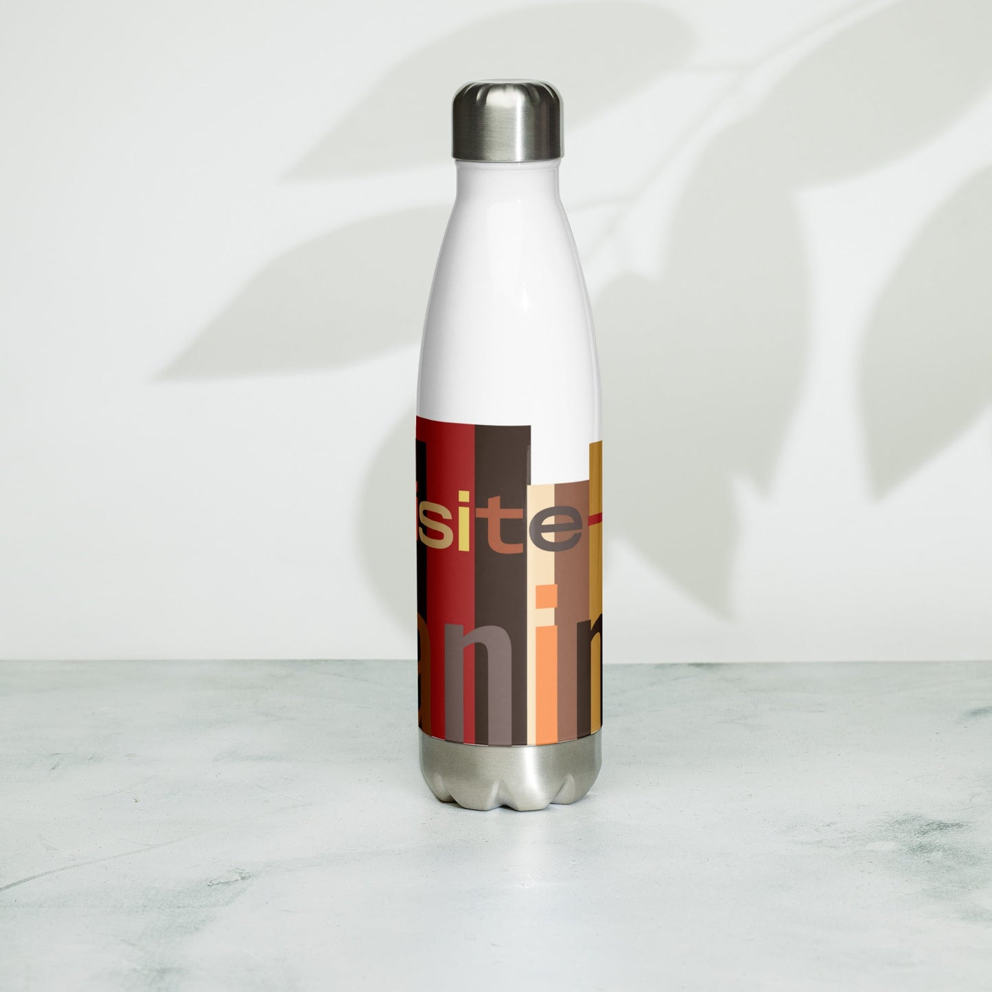 Stainless Steel Water Bottle