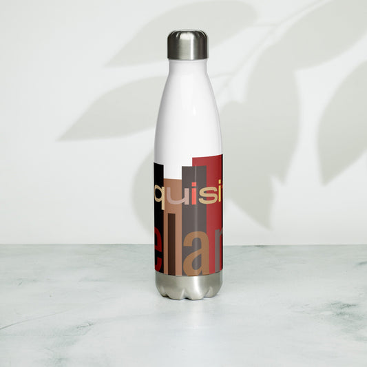 Stainless Steel Water Bottle